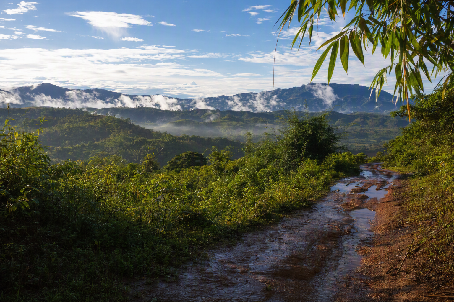A drying red-earth path crossing fresh green ridges on a clear post-monsoon morning