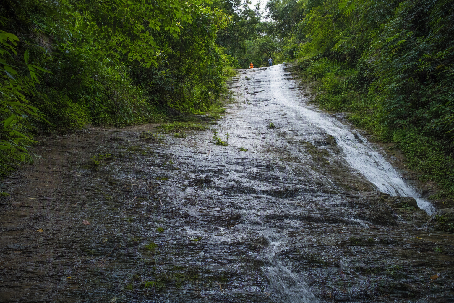 Risang Waterfall flowing over broad wet rock amid dense green forest